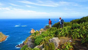 Things To Do in the Chatham Islands